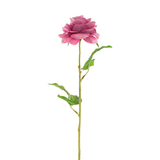 Miller Rose Open Real Touch Mauve (9cmDx57cmH)