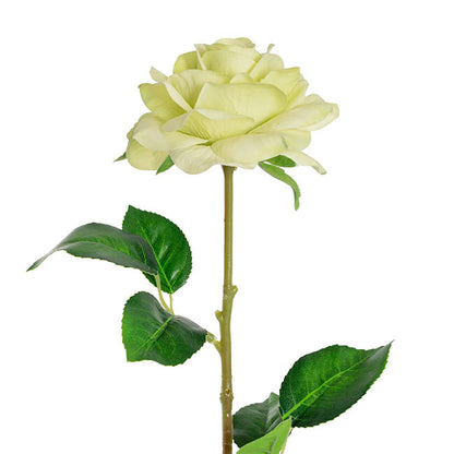 Miller Rose Open Real Touch Pale Green (9cmDx57cmH)