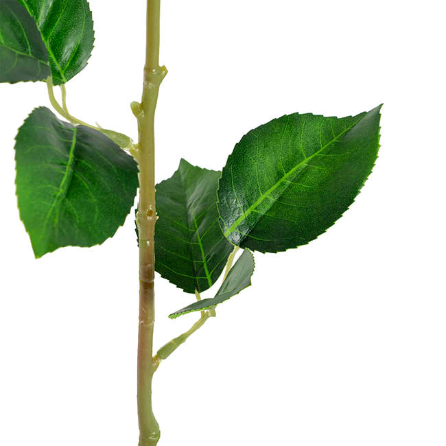 Miller Rose Open Real Touch Pale Green (9cmDx57cmH)