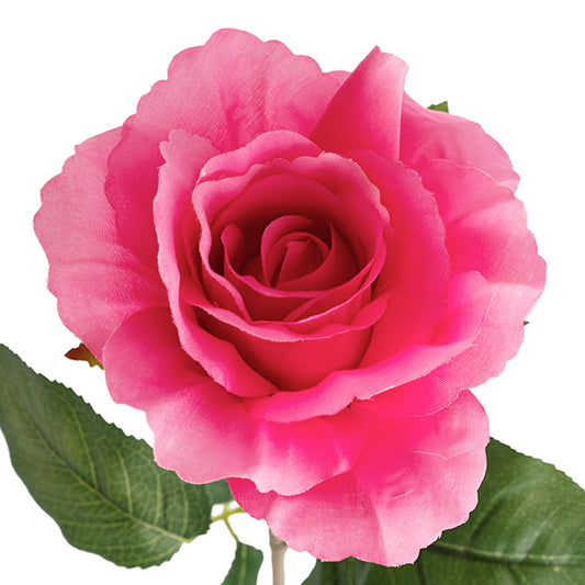 Siena Silk Rose Open Hot Pink (67cmH)