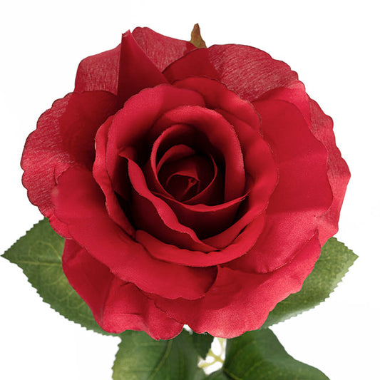 Siena Silk Rose Open Red (67cmH)