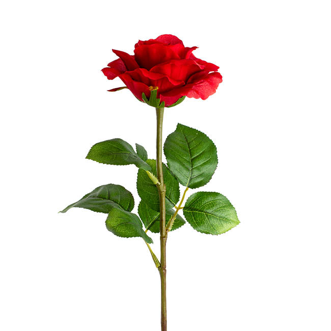 Siena Silk Rose Open Red (67cmH)
