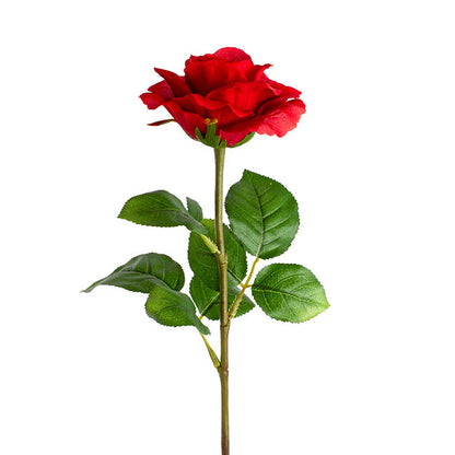 Siena Silk Rose Open Red (67cmH)