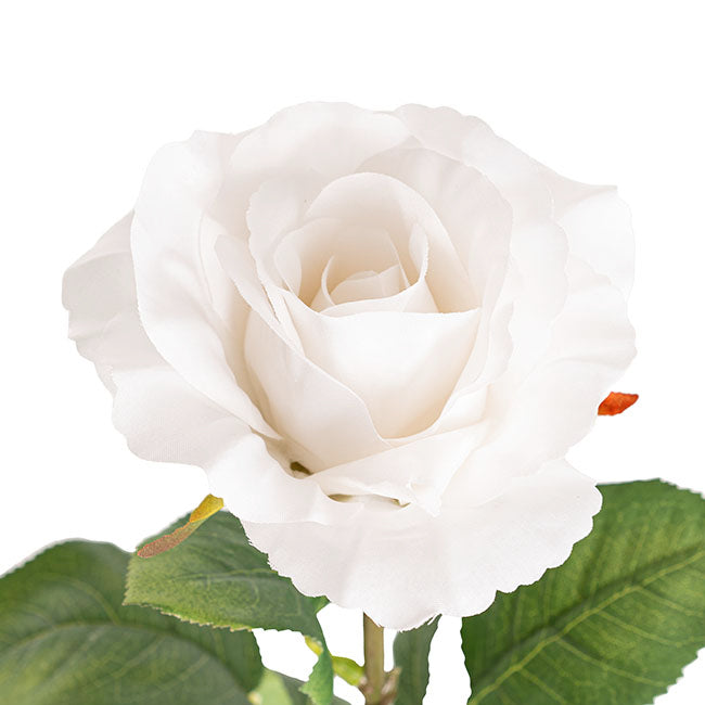 Siena Silk Rose Open White (67cmH)