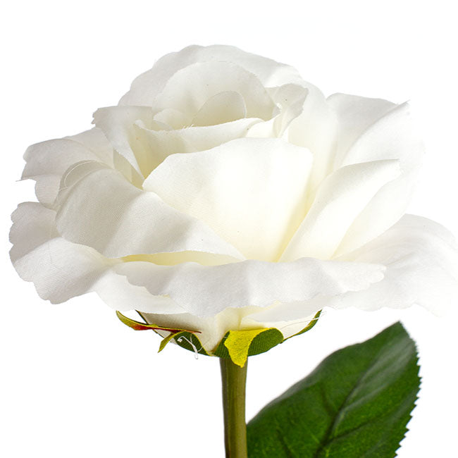 Siena Silk Rose Open White (67cmH)