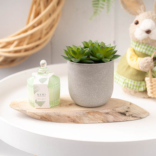 Natural Wood Timber Slice Oval Brown (Approx 29x11x2.5cmH)