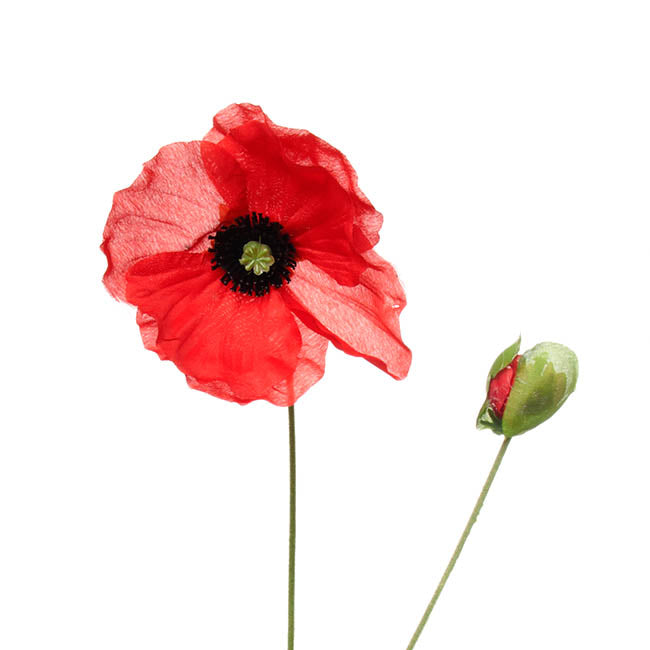 Poppy Flower Stem with Black Centre Red (11cmDx60cmH)