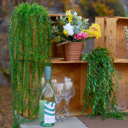 Hanging Plants Grass Bush Green (70cmH)