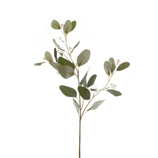 Eucalyptus Seeded Spray Green (72cmH)