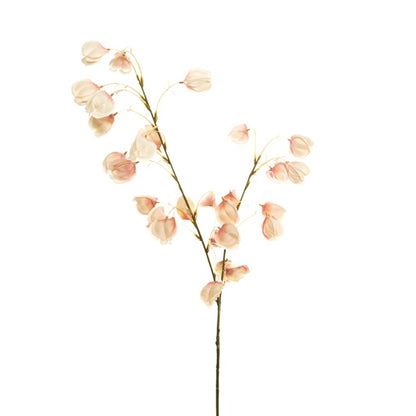 Lantern Flower Spray Champagne (97cmH)