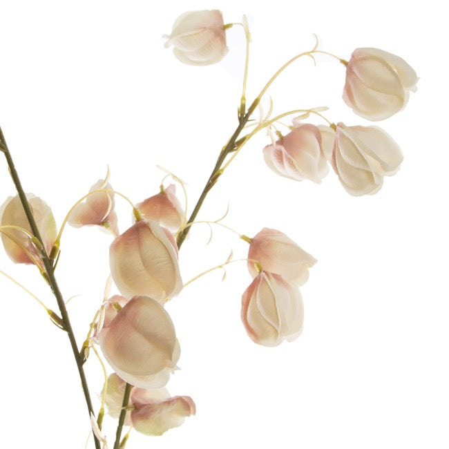 Lantern Flower Spray Champagne (97cmH)