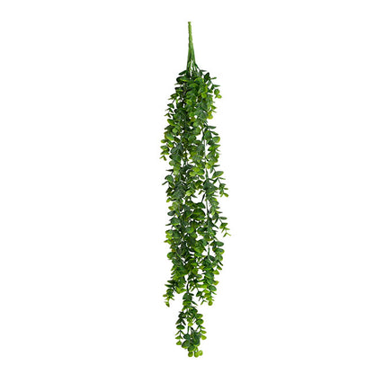 Hanging Plants Eucalyptus Bush Green (80cmH)