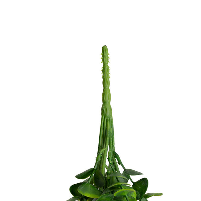 Hanging Plants Eucalyptus Bush Green (80cmH)