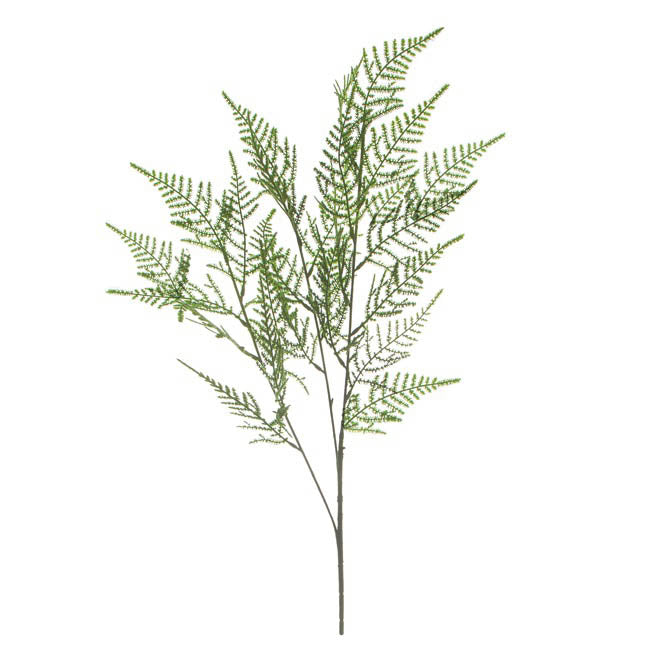 Leaf Cypress Fern Spray Green (73cmH)