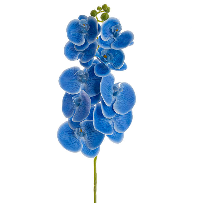 Phalaenopsis Orchid 3D Real Look 9 Flowers Blue (100cmH)