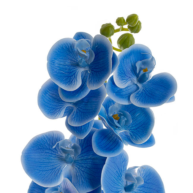 Phalaenopsis Orchid 3D Real Look 9 Flowers Blue (100cmH)