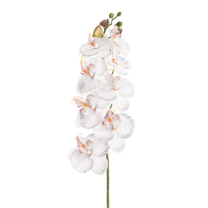 Phalaenopsis Orchid Real Look 8 Flowers White Grey (78cmH)