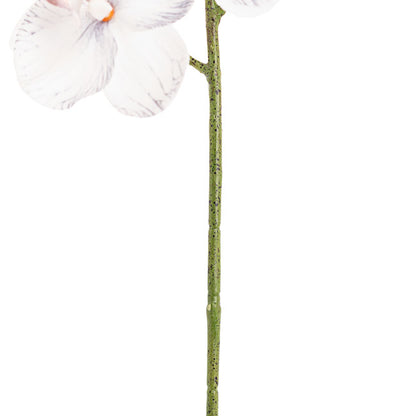 Phalaenopsis Orchid Real Look 8 Flowers White Grey (78cmH)