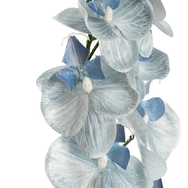 Phalaenopsis Orchid Real Look 8 Flowers White Blue (78cmH)