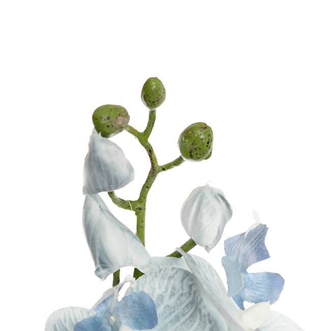 Phalaenopsis Orchid Real Look 8 Flowers White Blue (78cmH)