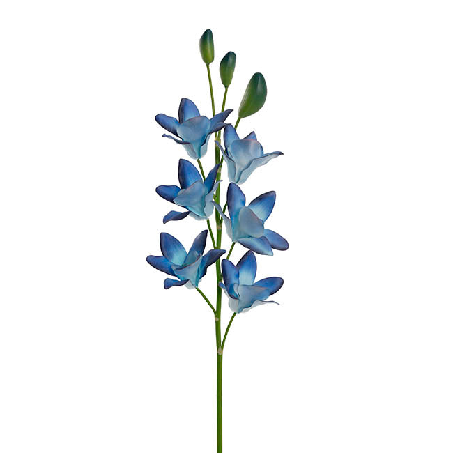 Real Touch Singapore Orchid x5 Flowers Ombre Blue (64cmH)