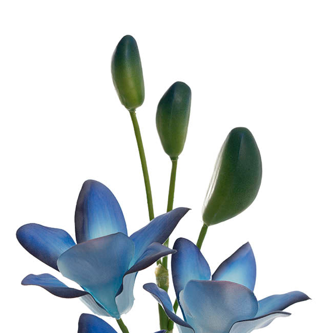 Real Touch Singapore Orchid x5 Flowers Ombre Blue (64cmH)