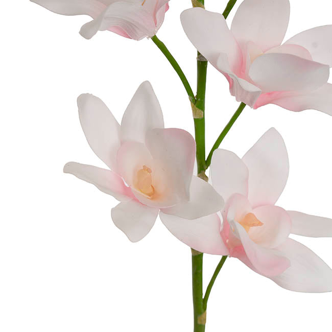 Real Touch Singapore Orchid x5 Flowers Cream Pink (64cmH)