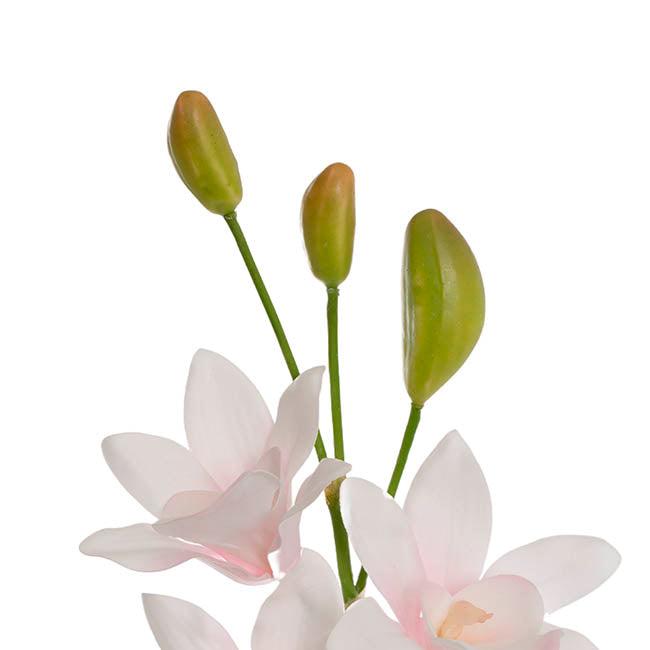 Real Touch Singapore Orchid x5 Flowers Cream Pink (64cmH)