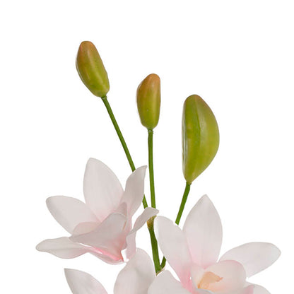 Real Touch Singapore Orchid x5 Flowers Cream Pink (64cmH)