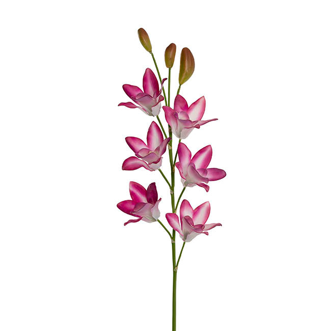 Real Touch Singapore Orchid x5 Flowers Fuchsia (64cmH)