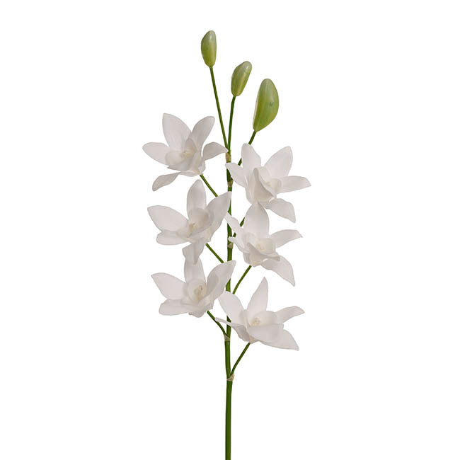 Real Touch Singapore Orchid x5 Flowers White (64cmH)