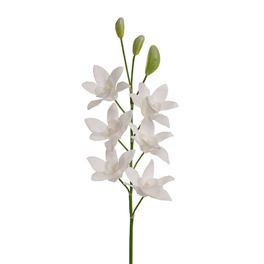Real Touch Singapore Orchid x5 Flowers White (64cmH)