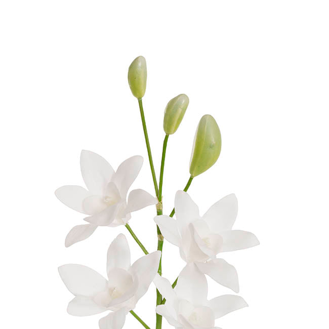 Real Touch Singapore Orchid x5 Flowers White (64cmH)
