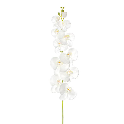 Phalaenopsis Orchid Real Touch 11 flowers White (126cmH)