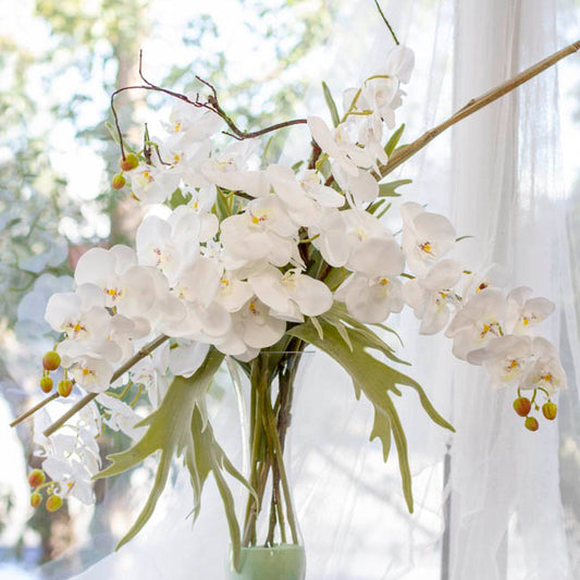 Phalaenopsis Orchid Real Touch 11 flowers White (126cmH)