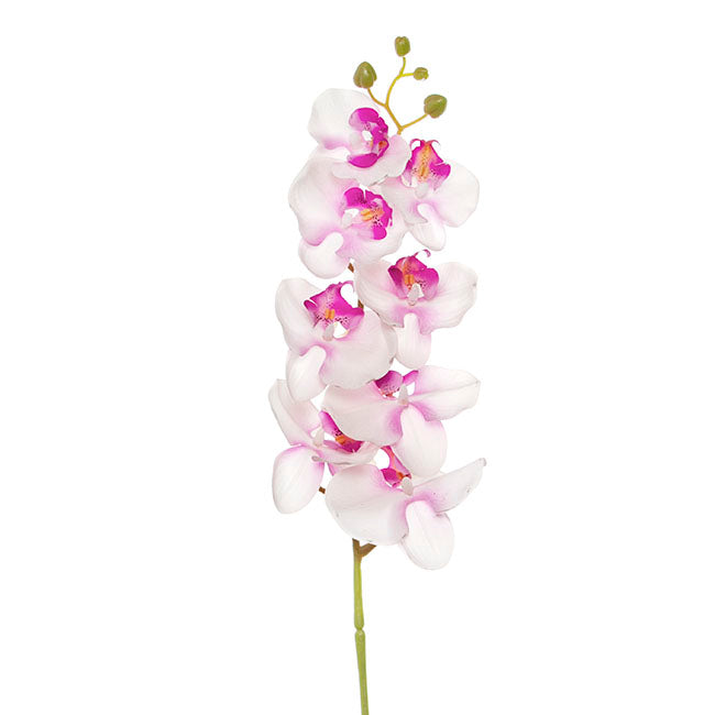 Phalaenopsis Orchid Real Touch 8 Flowers Pink (97cmH)
