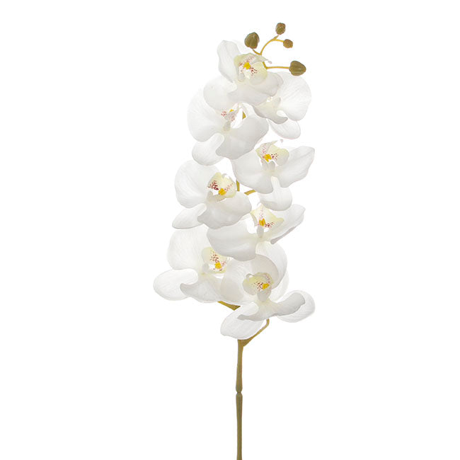 Phalaenopsis Orchid Real Touch 8 Flowers White (97cmH)