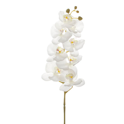 Phalaenopsis Orchid Real Touch 8 Flowers White (97cmH)