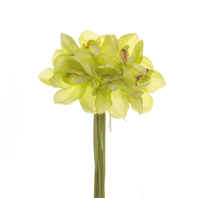 Cymbidium Orchid Bouquet Real Touch 6 Flowers Green (25cmH)