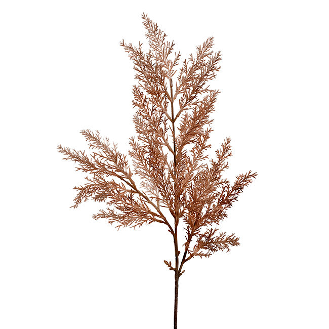 Cypress Fern Spray Almond (64cmH)