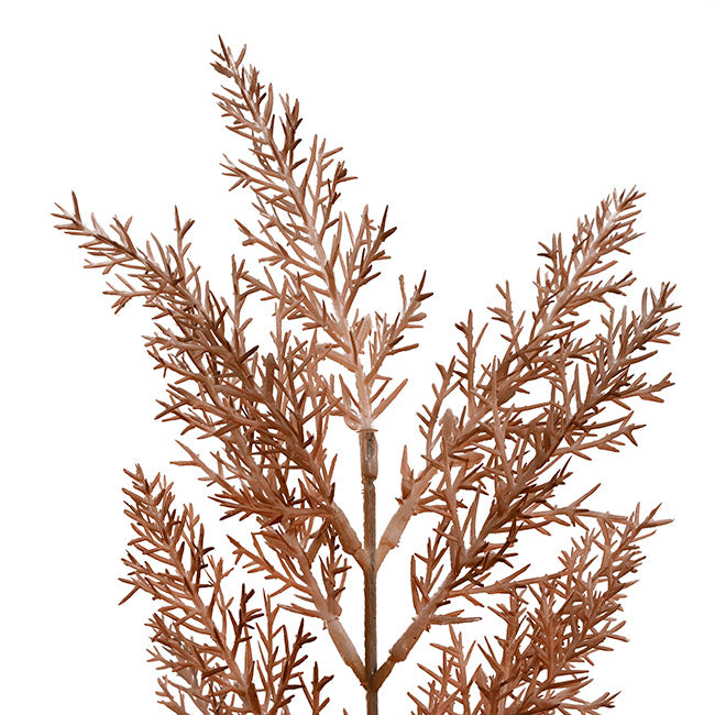 Cypress Fern Spray Almond (64cmH)