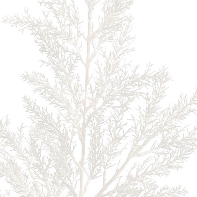 Cypress Fern Spray White (64cmH)