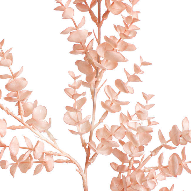 Eucalyptus Baby Leaf Spray Soft Pink (62cmH)