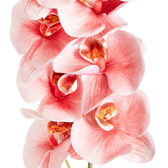 Phalaenopsis Orchid 3D Real Touch x9 Head Dusty Pink (98cmH)