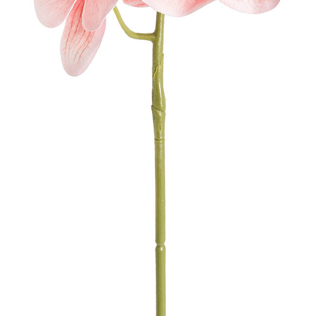 Phalaenopsis Orchid 3D Real Touch x9 Head Dusty Pink (98cmH)