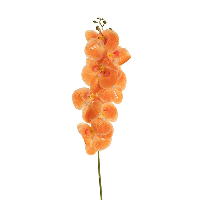 Real Touch Phalaenopsis Orchid Stem x7 Apricot (85cmH)
