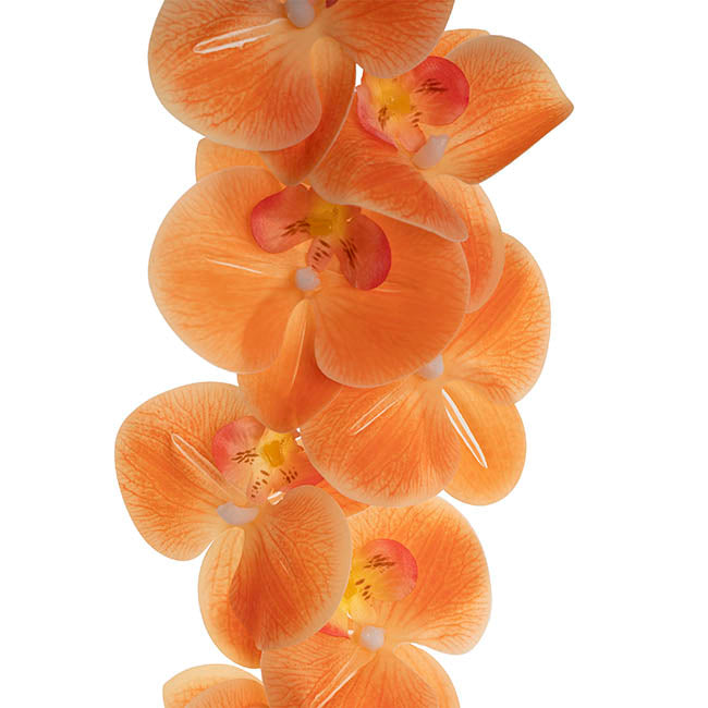Real Touch Phalaenopsis Orchid Stem x7 Apricot (85cmH)