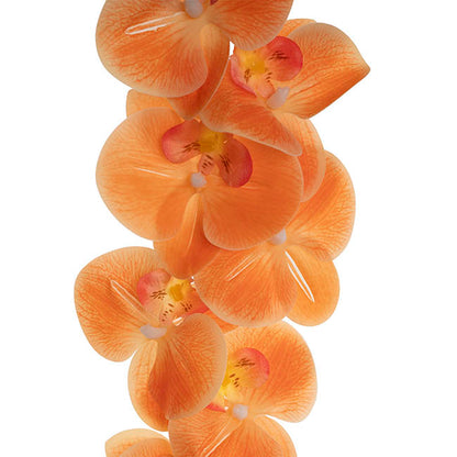 Real Touch Phalaenopsis Orchid Stem x7 Apricot (85cmH)