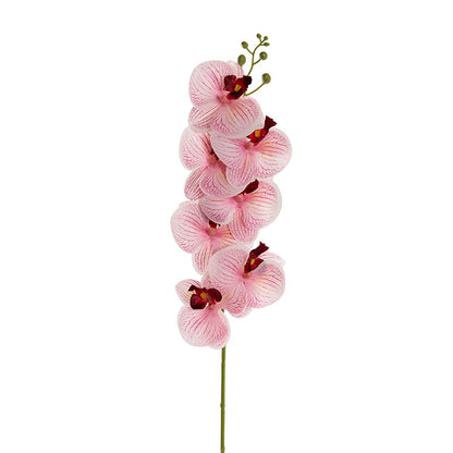 Real Touch Phalaenopsis Orchid Stem x7 Head Wine (85cmH)