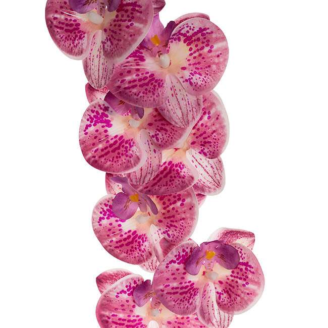 Real Touch Phalaenopsis Orchid Stem x7 Head Purple (85cmH)
